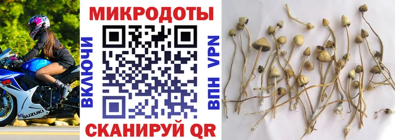 Галлюциногенные грибы прущие грибы  купить наркотик  Геленджик 